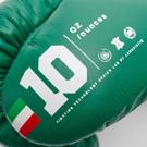 Leone Laces SHOCK PLUS BOXING GLOVES-green