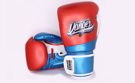 Danger Evolution EVO X MUAY THAI Gloves-blue