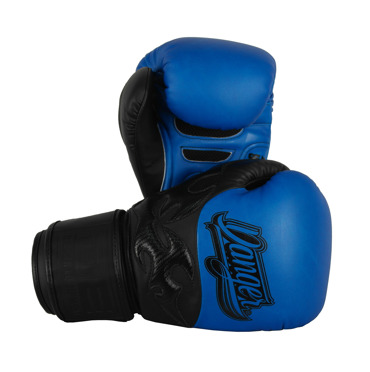 Danger Evolution SAK MUAY THAI Gloves-blue