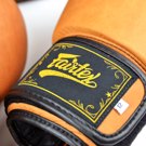Fairtex BGV21 Legacy Velcro GNTIA PuGAXIAS-Brown 