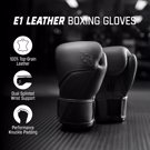 Hayabusa E1 Leather Boxing Gloves-onyx black
