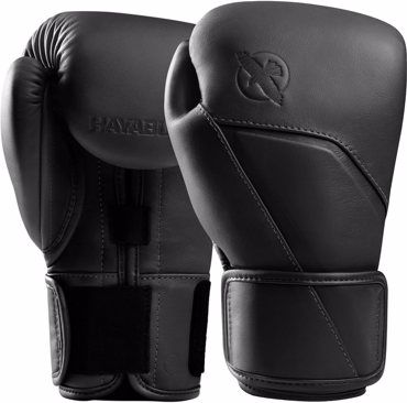 Hayabusa E1 Leather Boxing Gloves-onyx black