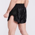 LEONE flag THAI/kick SHORTS-BLACK