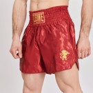 Leone BASIC 2 KICK SHORTS -bordeux